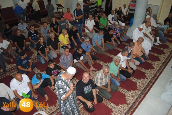 3akila jame3 803 (1).JPG